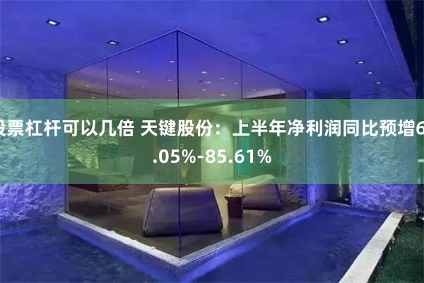 股票杠杆可以几倍 天键股份：上半年净利润同比预增67.05%-85.61%