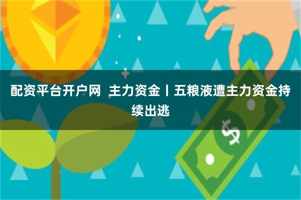 配资平台开户网  主力资金丨五粮液遭主力资金持续出逃