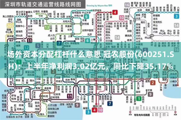 场外资本分配杠杆什么意思 冠农股份(600251.SH)：上半年净利润3.02亿元，同比下降35.17%