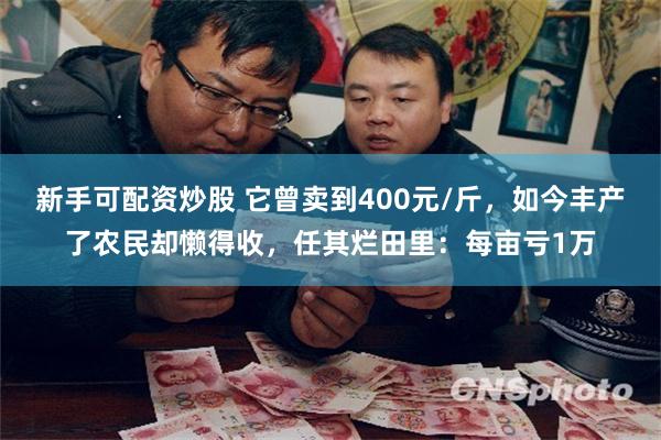 新手可配资炒股 它曾卖到400元/斤，如今丰产了农民却懒得收，任其烂田里：每亩亏1万