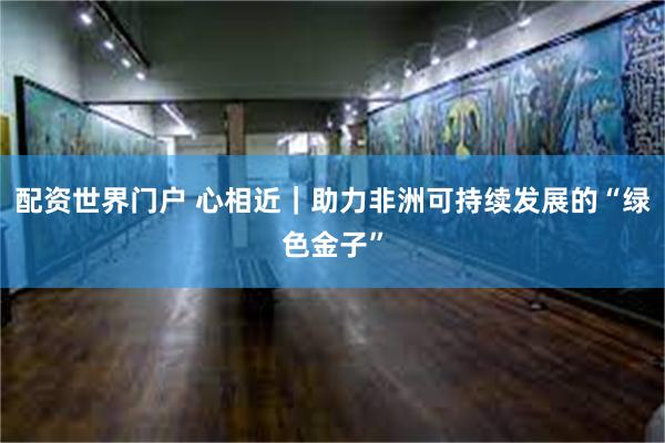 配资世界门户 心相近｜助力非洲可持续发展的“绿色金子”