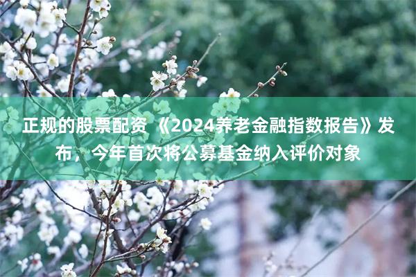 正规的股票配资 《2024养老金融指数报告》发布，今年首次将公募基金纳入评价对象